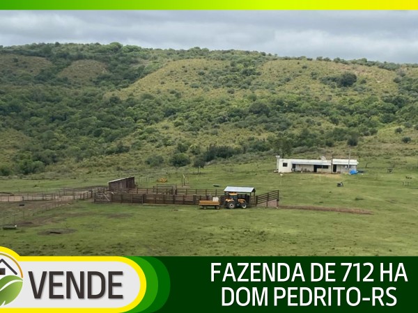 FAZENDA DE 712 HA NO RS