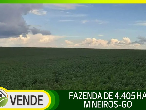 FAZENDA DE 4.405 HA EM GOIÁS