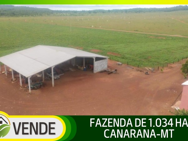 FAZENDA DE 1.034 HA NO MATO GROSSO