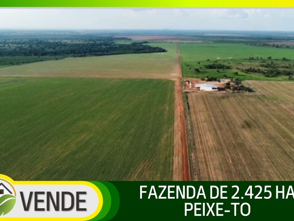 FAZENDA DE 2.425 HA NO TOCANTINS