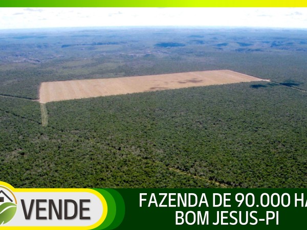 FAZENDA DE 90.000 HA NO PIAUÍ