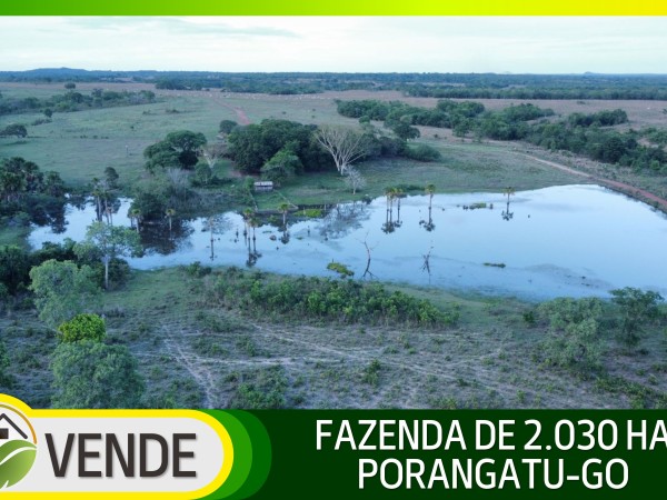 FAZENDA DE 2.030 HA COM ATÉ 10 ANOS PARA PAGAR