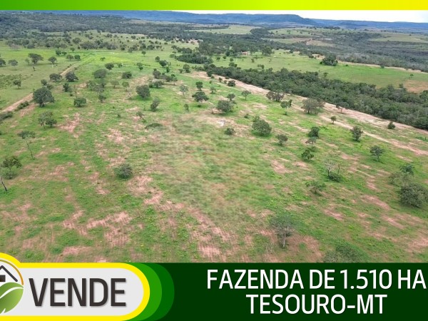 FAZENDA DE 1.510 HA NO MATO GROSSO