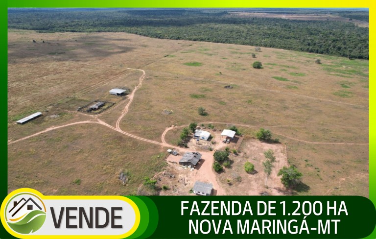 FAZENDA PARA PECUÁRIA DE 1.200 HA