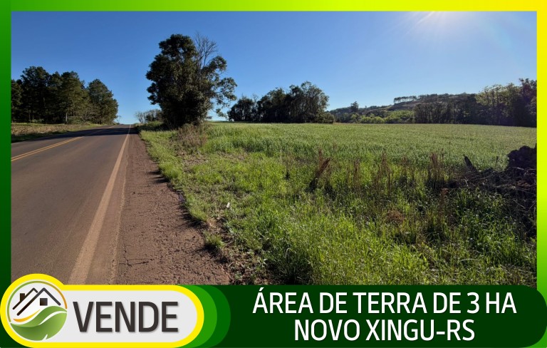 ÁREA DE TERRA DE 3 HA EM NOVO XINGU-RS