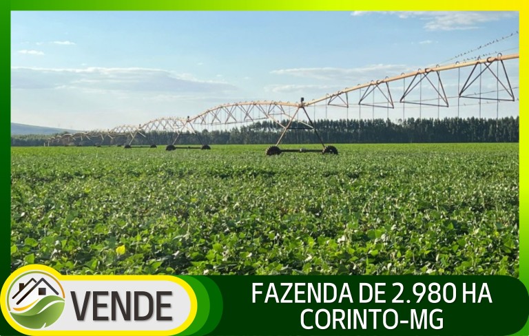 FAZENDA DE 2.980 HA EM MINAS GERAIS