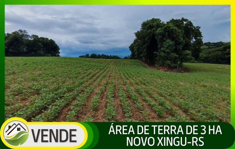 ÁREA DE TERRA DE 3 HA NO RS