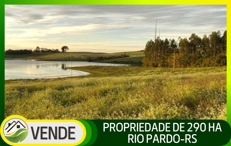 PROPRIEDADE DE 290 HA NO RS