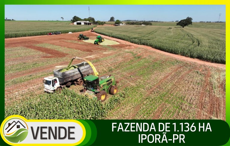 FAZENDA PORTEIRA FECHADA DE 1.136 HA