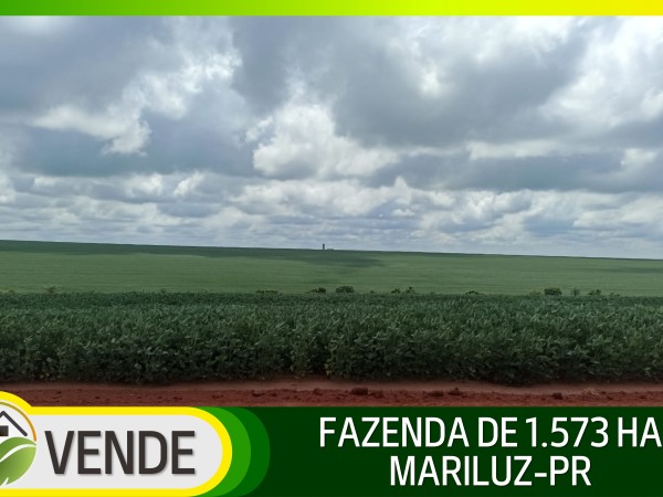 FAZENDA DE 1.573 HA NO PARANÁ