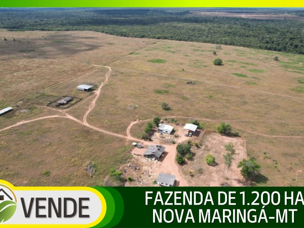FAZENDA PARA PECUÁRIA DE 1.200 HA