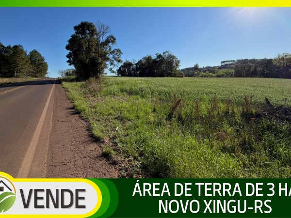 ÁREA DE TERRA DE 3 HA EM NOVO XINGU-RS