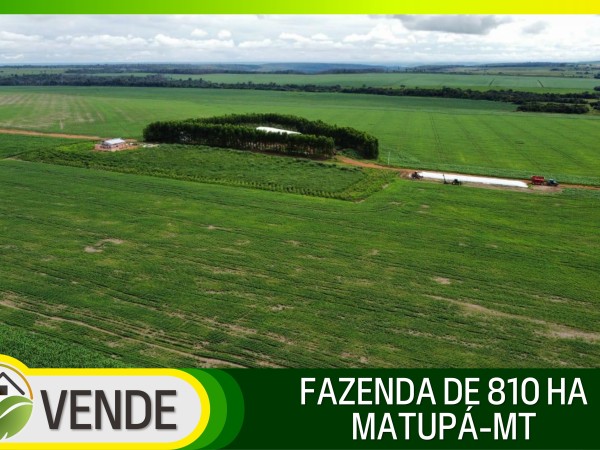 FAZENDA DE 810 HA COM 8 ANOS PARA PAGAR