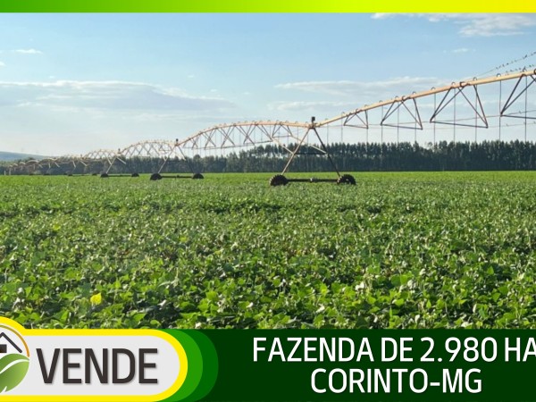 FAZENDA DE 2.980 HA EM MINAS GERAIS