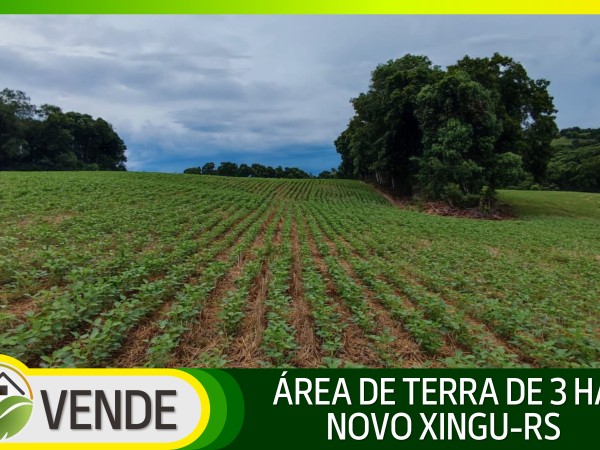 ÁREA DE TERRA DE 3 HA NO RS