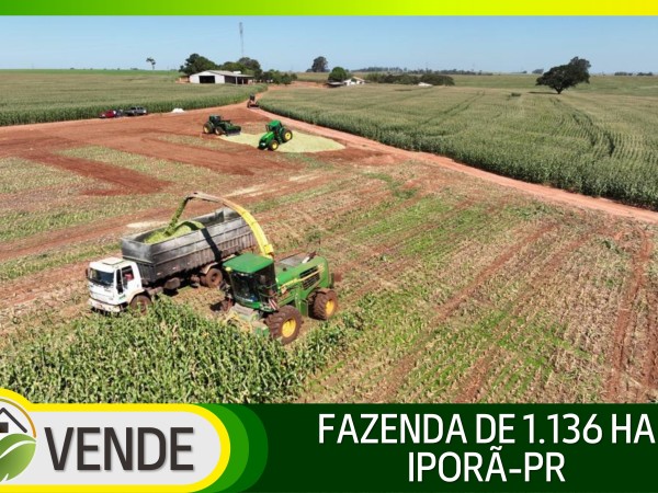 FAZENDA PORTEIRA FECHADA DE 1.136 HA