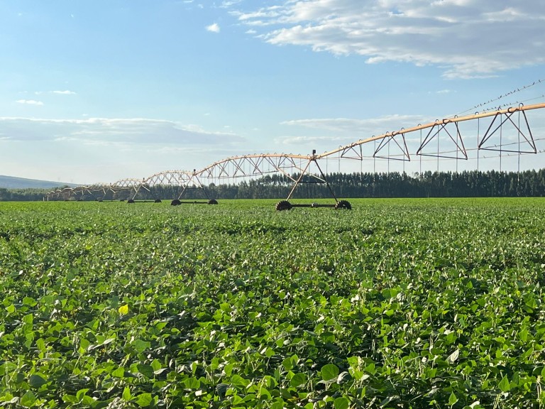 FAZENDA DE 2.980 HA EM MINAS GERAIS