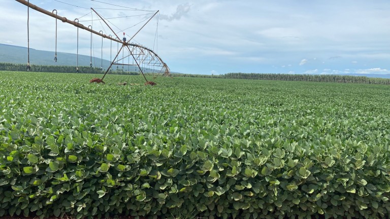 FAZENDA DE 2.980 HA EM MINAS GERAIS