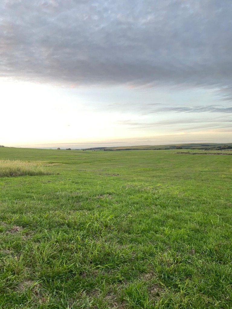 PROPRIEDADE DE 290 HA NO RS