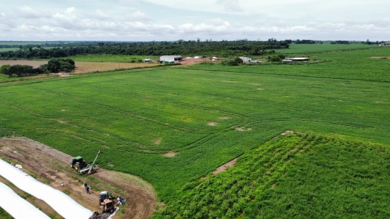 FAZENDA DE 810 HA COM 8 ANOS PARA PAGAR