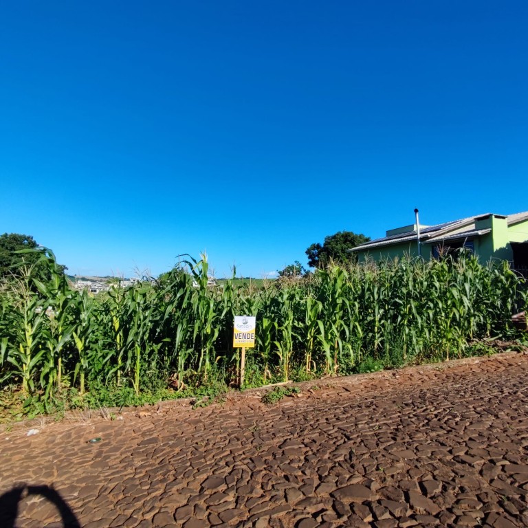 TERRENO DE 500 M² EM CONSTANTINA-RS