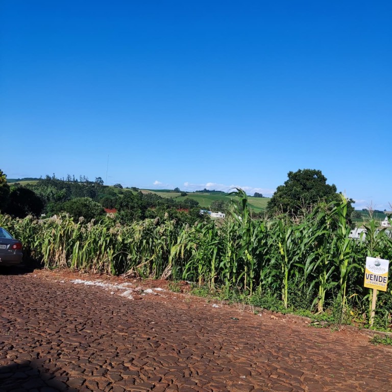 TERRENO DE 500 M² EM CONSTANTINA-RS