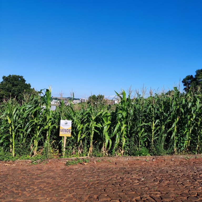 TERRENO DE 500 M² EM CONSTANTINA-RS