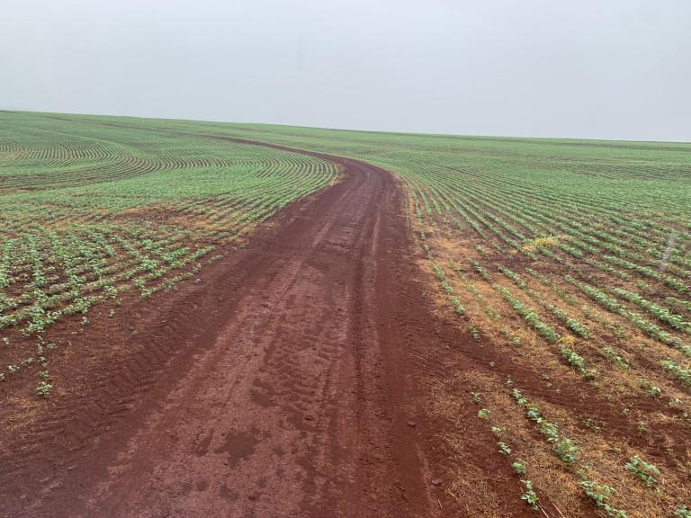 FAZENDA DE 2.120 HA NO PARANÁ