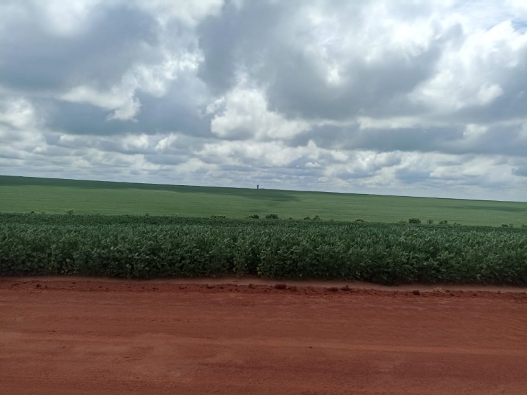 FAZENDA DE 1.573 HA NO PARANÁ