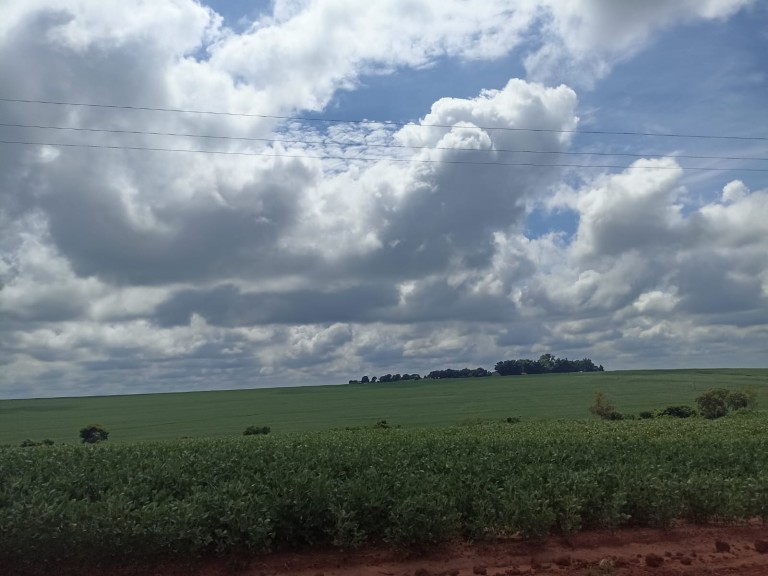 FAZENDA DE 1.573 HA NO PARANÁ