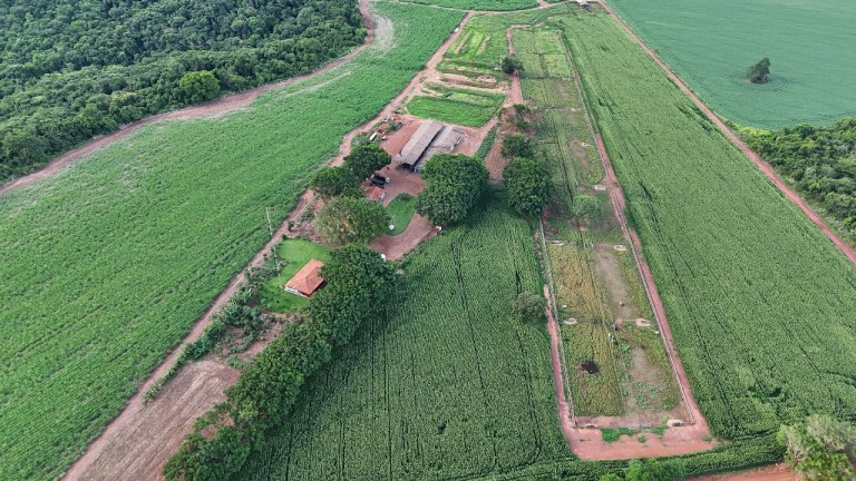 FAZENDA DE 3.600 HA EM GOIÁS