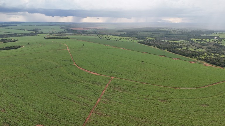 FAZENDA DE 3.600 HA EM GOIÁS