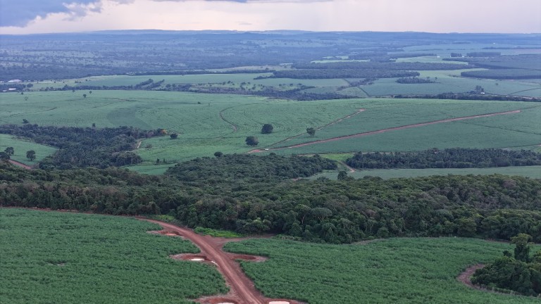 FAZENDA DE 3.600 HA EM GOIÁS