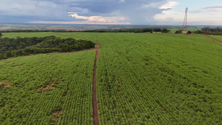 FAZENDA DE 3.600 HA EM GOIÁS