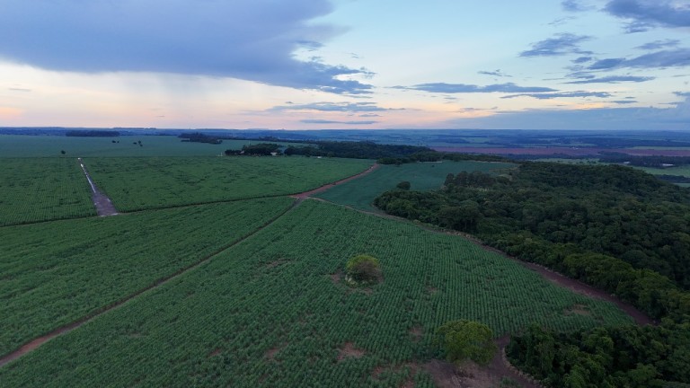 FAZENDA DE 3.600 HA EM GOIÁS