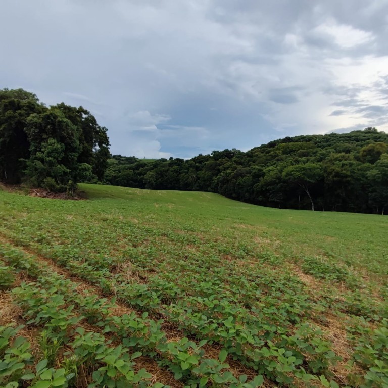 ÁREA DE TERRA DE 3 HA NO RS