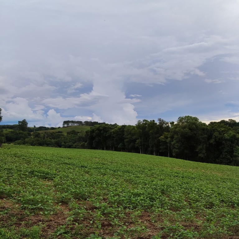 ÁREA DE TERRA DE 3 HA NO RS