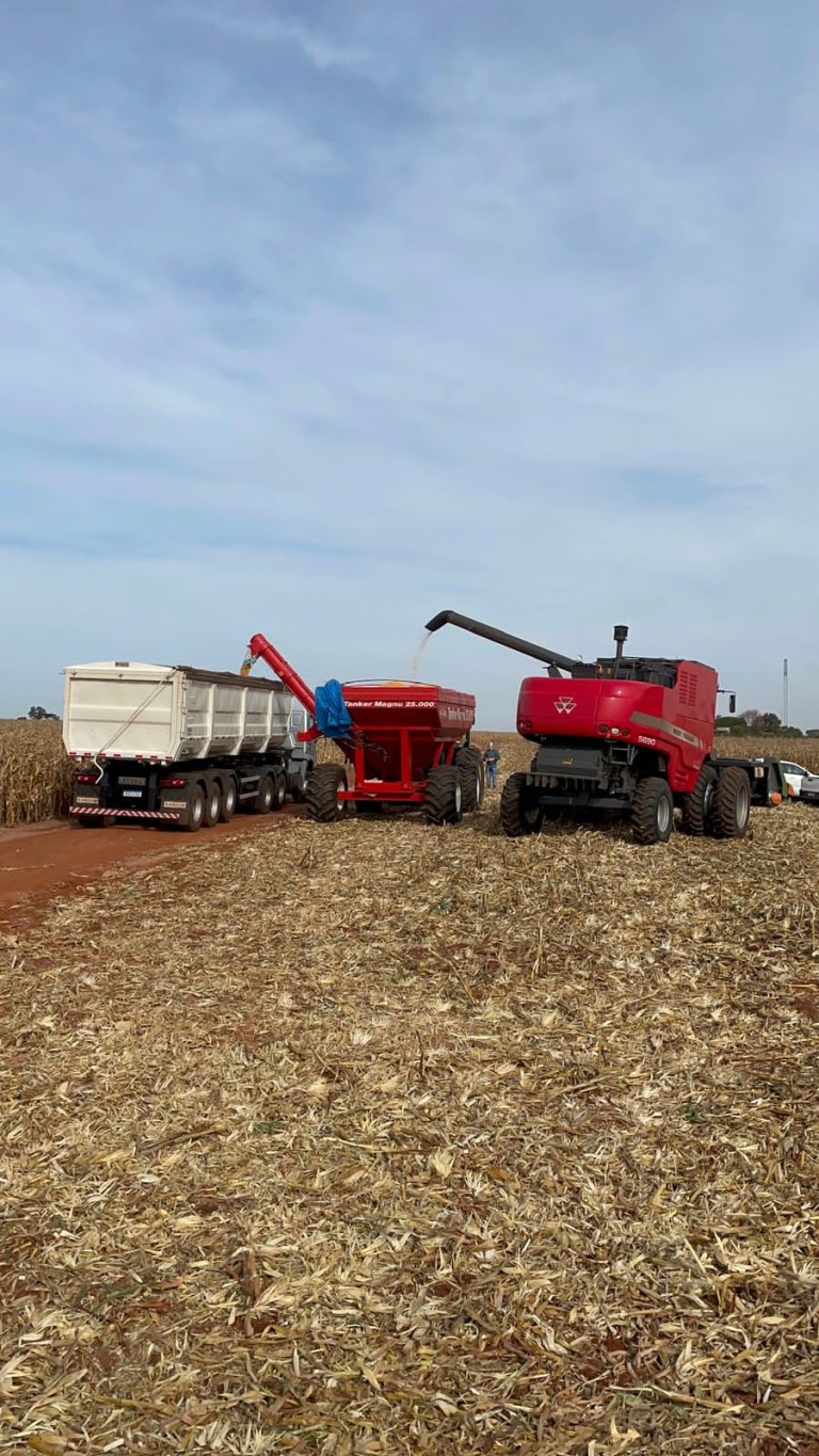 FAZENDA PORTEIRA FECHADA DE 1.136 HA