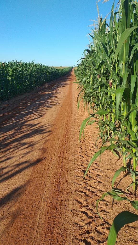 FAZENDA PORTEIRA FECHADA DE 1.136 HA