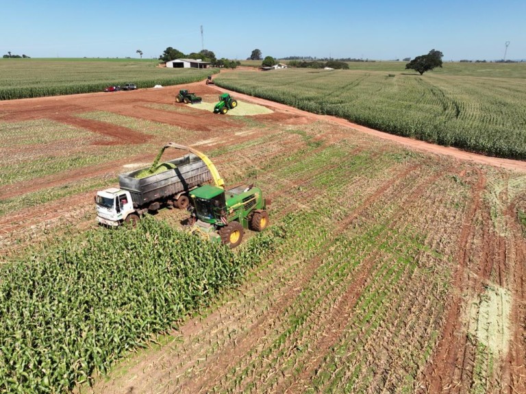 FAZENDA PORTEIRA FECHADA DE 1.136 HA