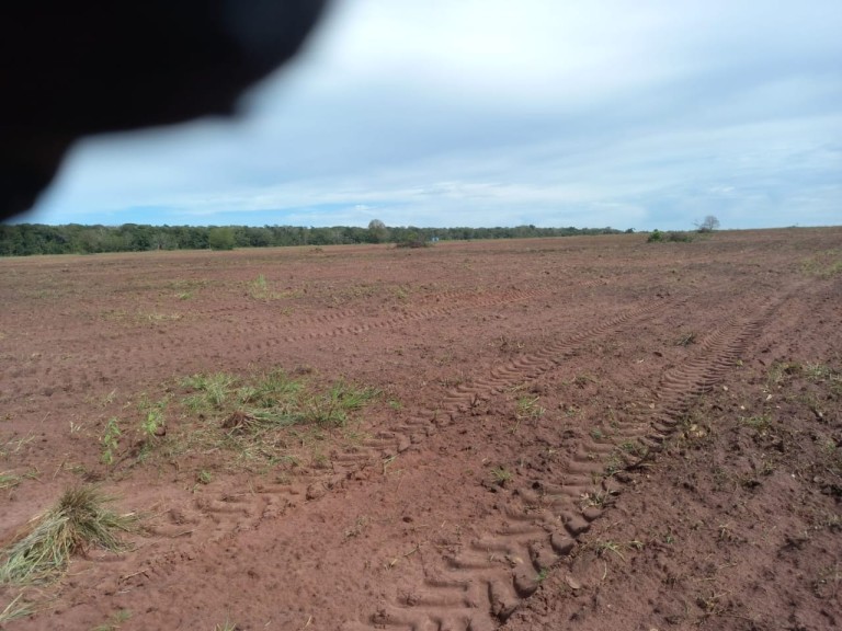 FAZENDA PARA PECUÁRIA DE 1.200 HA