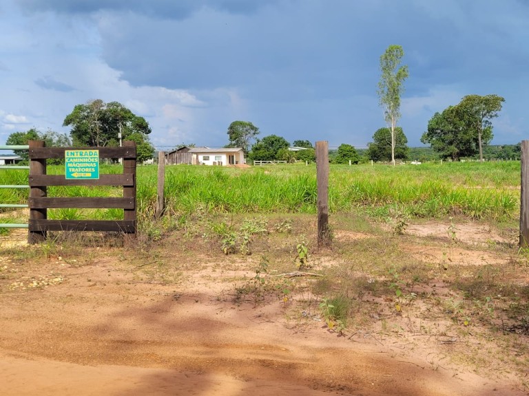 FAZENDA PARA PECUÁRIA DE 1.200 HA