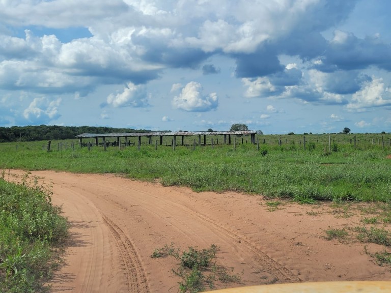 FAZENDA PARA PECUÁRIA DE 1.200 HA