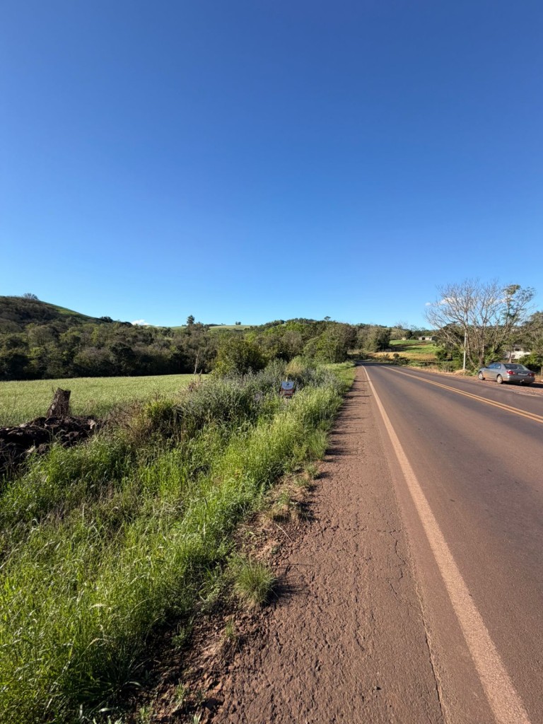 ÁREA DE TERRA DE 3 HA EM NOVO XINGU-RS
