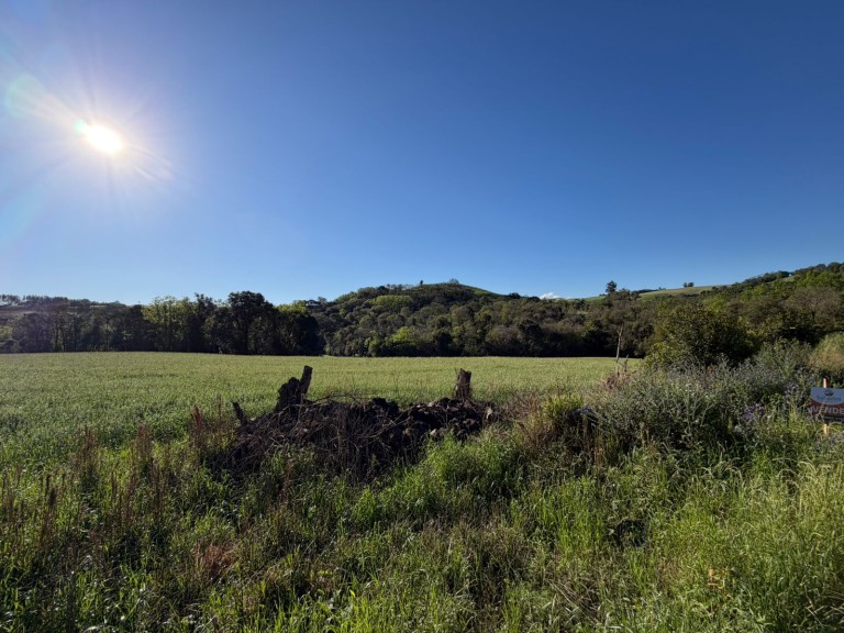 ÁREA DE TERRA DE 3 HA EM NOVO XINGU-RS