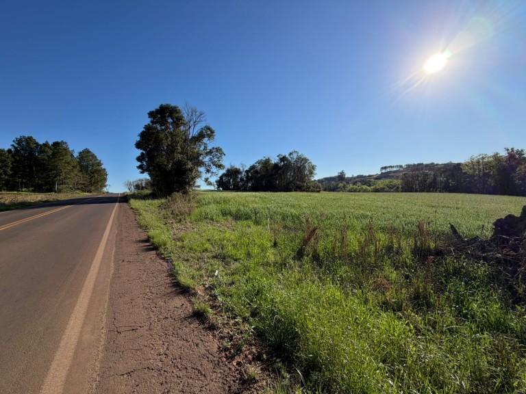 ÁREA DE TERRA DE 3 HA EM NOVO XINGU-RS