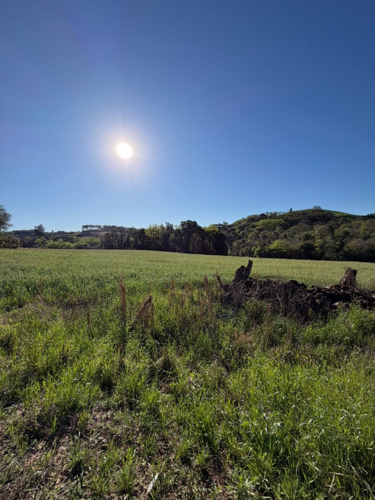 ÁREA DE TERRA DE 3 HA EM NOVO XINGU-RS
