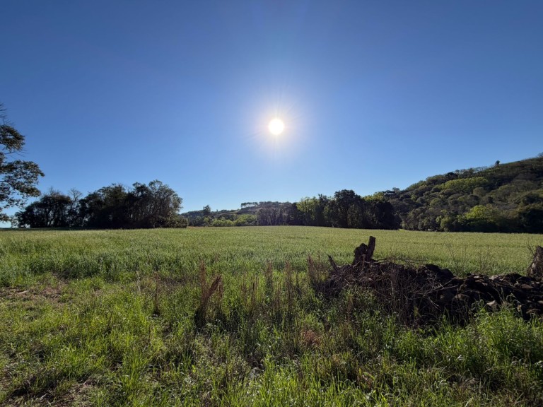 ÁREA DE TERRA DE 3 HA EM NOVO XINGU-RS