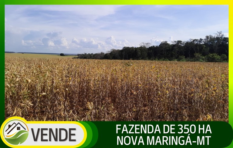 FAZENDA DE 350 HA NO MATO GROSSO