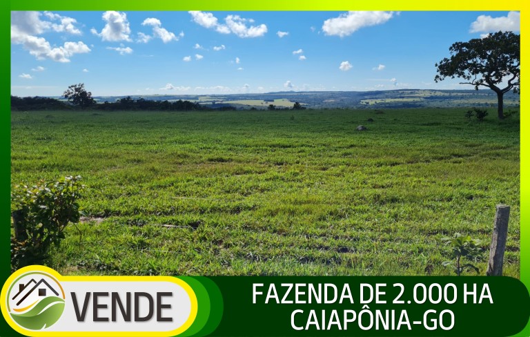 FAZENDA DE 2.000 HA EM GOIÁS